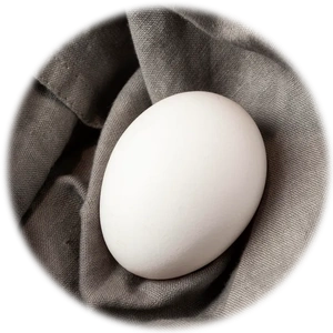Goose Egg