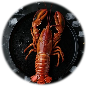 Lobster