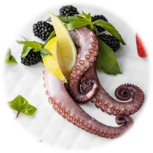 Octopus