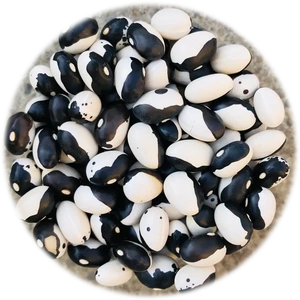 Orca Beans