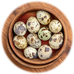 Quail Egg