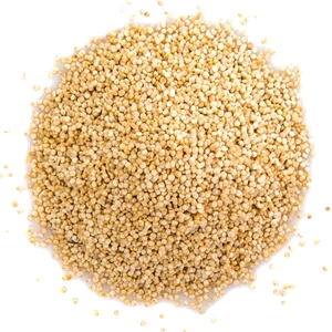 Quinoa