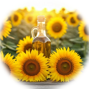 Sunflower Oil