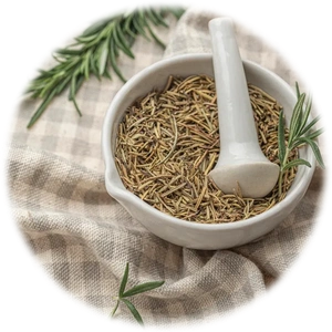 Tarragon