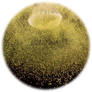 Thyme