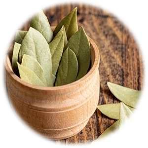 bay leaf