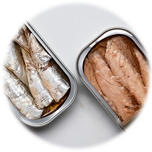 Canned Fish
