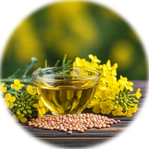 Canola Oil