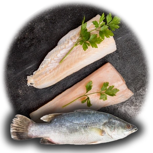 Cod Fillet