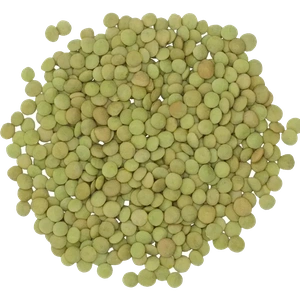Green Lentils