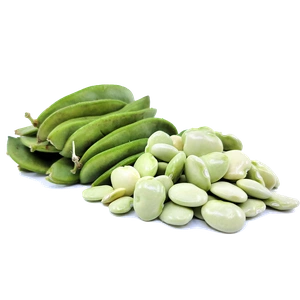 Lima Beans