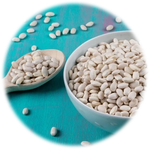 Navy Beans