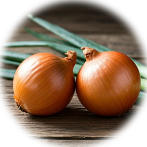 Onion