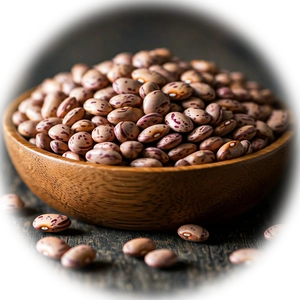 pinto beans