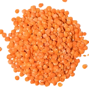 Red Lentils