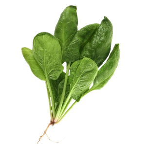 Spinach