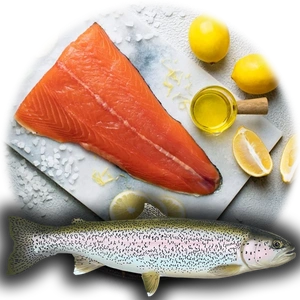 Trout Fillet