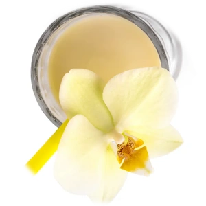 Vanilla