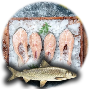 Whitefish Fillet