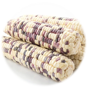 White Corn