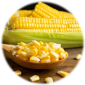 Yellow Corn